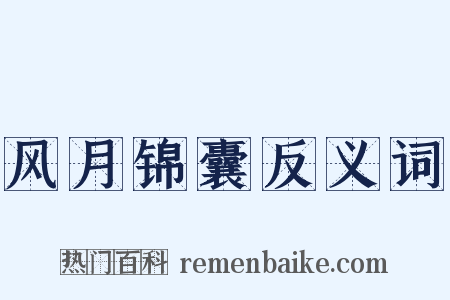 风月锦囊反义词是什么意思的图片